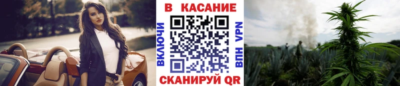 Псилоцибиновые грибы Казань