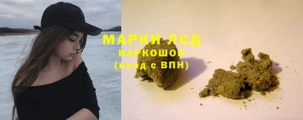 ПСИЛОЦИБИНОВЫЕ ГРИБЫ Алзамай